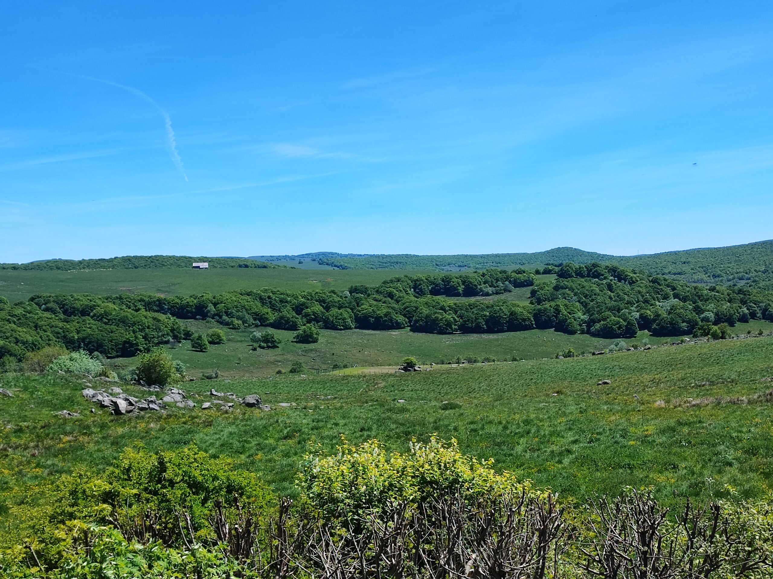 savons saponifiés à froid biologiques paysage de l'aubrac - savons saponifiés à froid biologiques